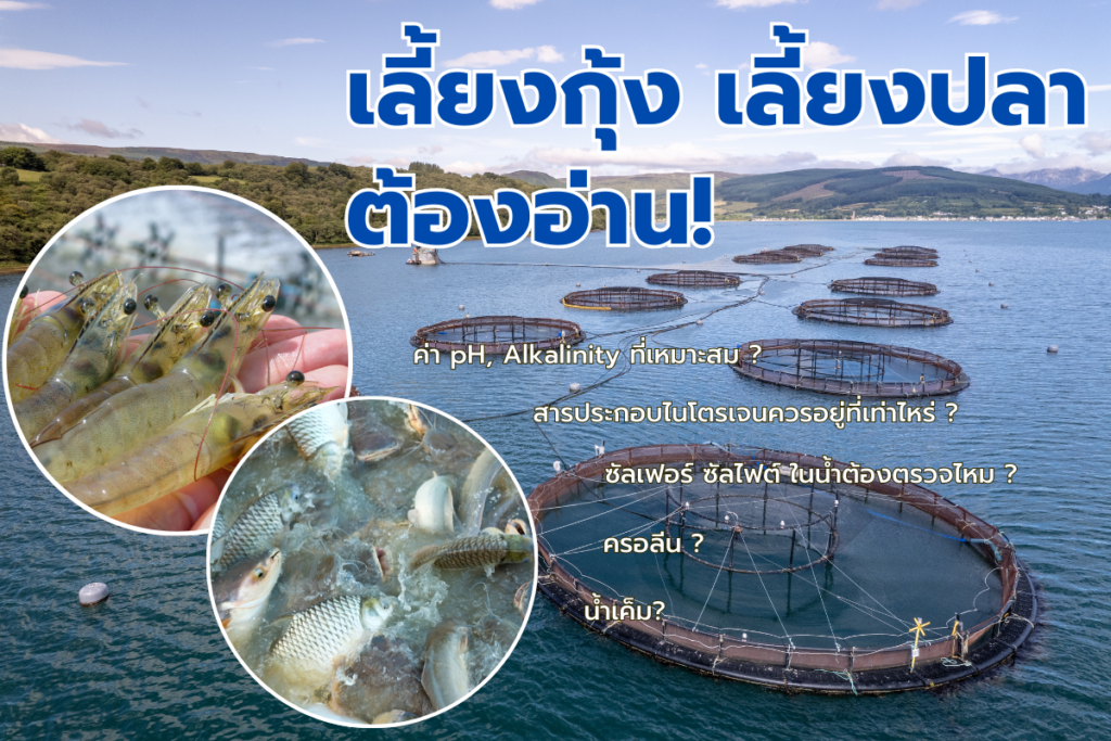 น้ำบ่อเลี้ยงกุ้ง เลี้ยงปลา