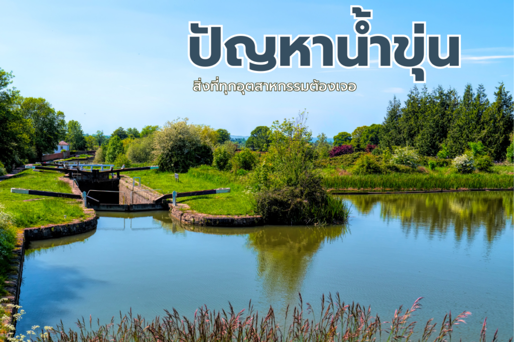 การวัดน้ำขุ่น