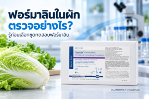 ฟอร์มาลินในผัก ตรวจอย่างไร ภาพผักกาดขาวและชุดทดสอบ QUANTOFIX Formaldehyde 91328